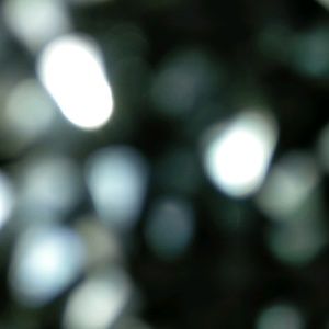 Meet your Posher, Aleelee